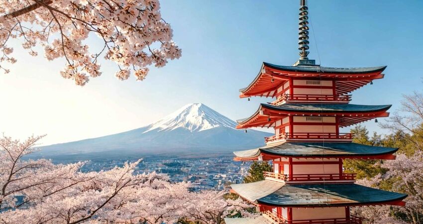 Elit Japonya ve Kore Turu THY ile 7 Gece